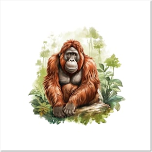 Orangutan Monkey Posters and Art